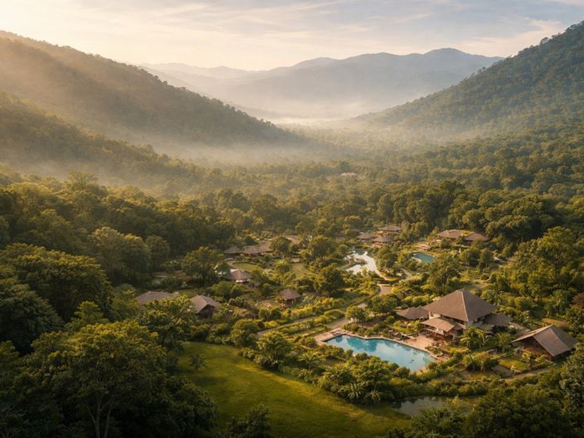 Luxury resort villas around a forest pool